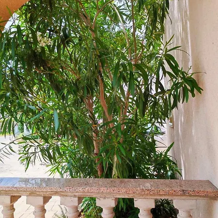 Rose Apartment Krk Town